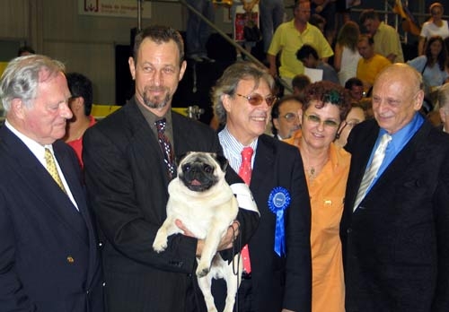 world dog show 2004